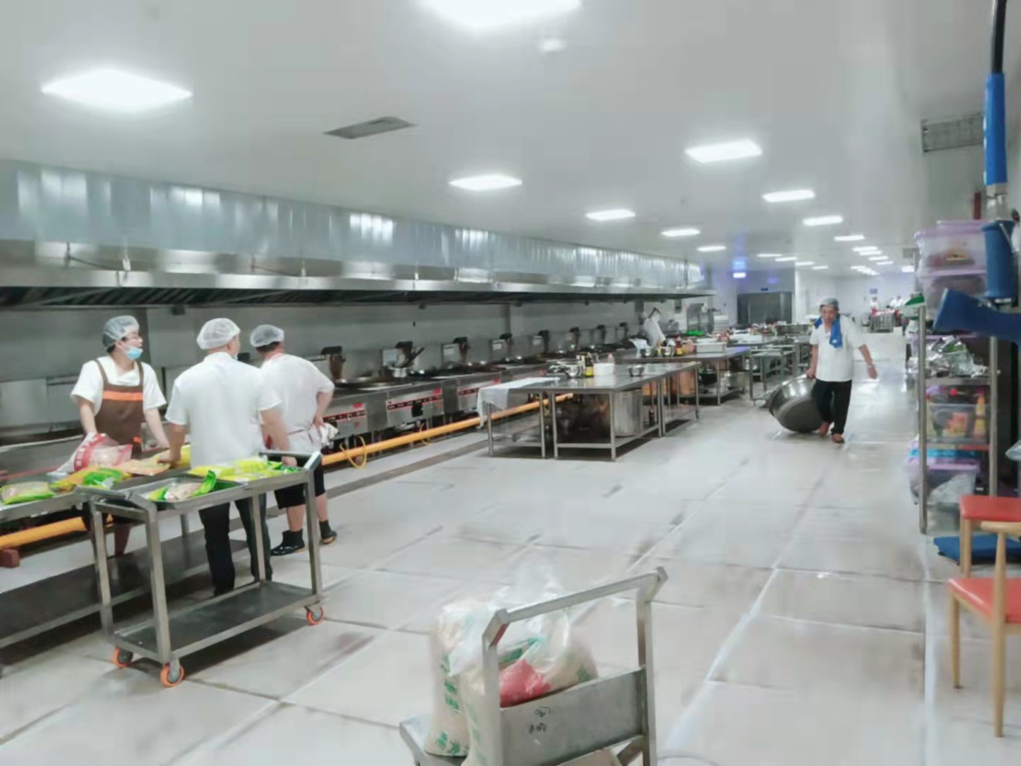 川菜商用芭乐视频官网下载在线播放设计