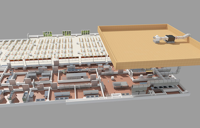 餐饮芭乐视频官网下载在线播放排烟系统工程