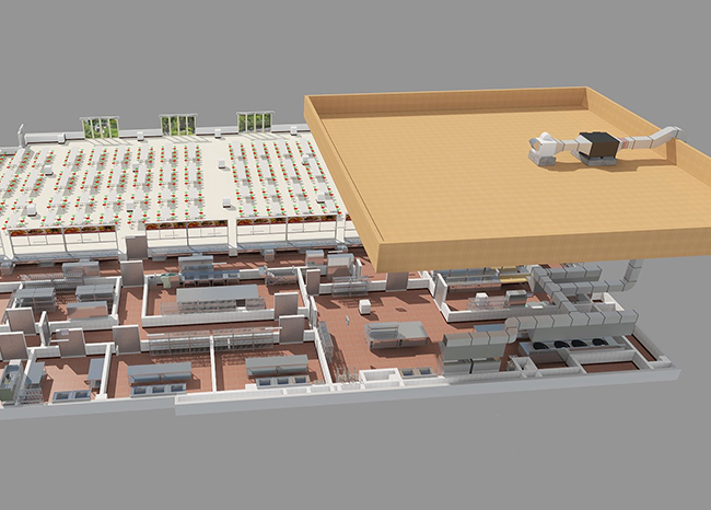 芭乐视频官网下载在线播放抽排系统设计 芭乐视频官网下载在线播放抽排系统设计