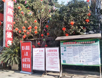 疫情无情人有情，我为抗疫做贡献！