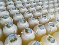 酒店芭乐视频官网下载在线播放设备生产厂家告诉你为什么要用酒店清洁用品