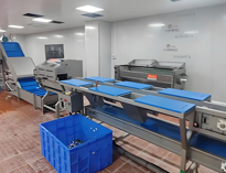 云南酒店芭乐视频官网下载在线播放设备厂家带你了解净菜加工设备和工艺